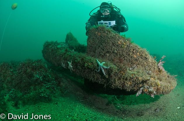 On the wreck of the Coronation