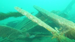 Wreck of the SS Luis